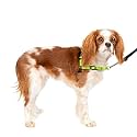 Petsafe Deluxe Easy Walk Harness, Small, Apple Green