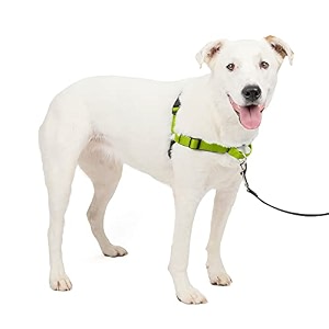 petsafe easy walk deluxe dog harness no pull dog harness  perfect for leash amp harness training  stops pets from pulling and choking on walks  mediumlarge apple green