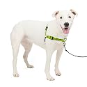 PetSafe Easy Walk Deluxe Dog Harness, No Pull Dog Harness ââ‚¬â€œ Perfect for Leash &amp; Harness Training ââ‚¬â€œ Stops Pets from Pulling and Choking on Walks ââ‚¬â€œ Medium/Large, Apple Green