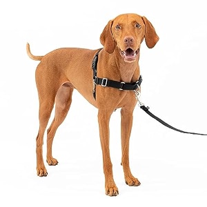 petsafe easy walk dog harness medium blacksilver