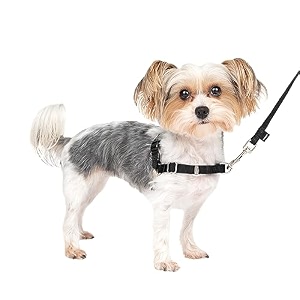 petsafe easy walk dog harness petitesmall blacksilver