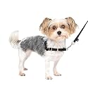 PetSafe Easy Walk Dog Harness, Petite/Small, Black/Silver