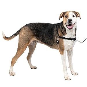 petsafe easy walk dog harness no pull dog harness blacksilver x-large 066948
