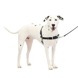 petsafe easy walk dog harness no pull dog harness blacksilver mediumlarge ewh-hc-ml-blk