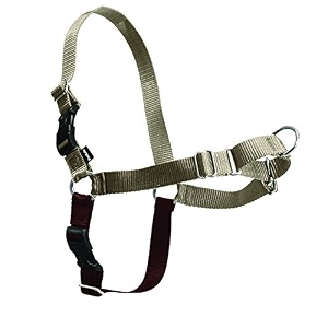 petsafe easy walk no-pull dog harness - ultimate harness to help stop pulling - pull-free walks - take control amp teach better leash manners - patented martingale loop design 