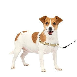 petsafe easy walk harness small fawnbrown for dogs