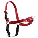 PetSafe Easy Walk No-Pull Dog Harness - Ultimate Harness to Help Stop Pulling - Pull-Free Walks - Take Control &amp; Teach Better Leash Manners - Patented Martingale Loop Design - Red, X-Large