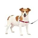 PetSafe Easy Walk Dog Harness, No Pull Dog Harness, Red/Black, Small