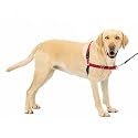 PetSafe Easy Walk Dog Harness, Red/Black, Large, EWH-HC-L-RED