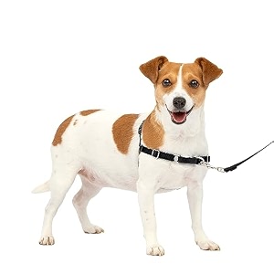 petsafe easy walk dog harness small blacksilver