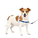 PetSafe Easy Walk Dog Harness, Small, Royal Blue/Navy
