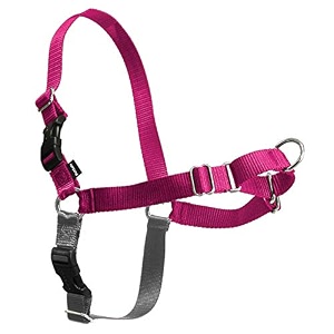 petsafe easy walk no-pull dog harness - ultimate harness to help stop pulling - pull-free walks - take control amp teach better leash manners - patented martingale loop design 