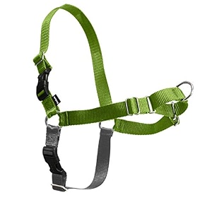 petsafe easy walk no-pull dog harness - ultimate harness to help stop pulling - pull-free walks - take control amp teach better leash manners - patented martingale loop design 