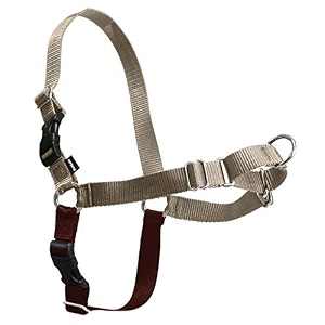 petsafe easy walk harness extra large fawnbrown for dogs