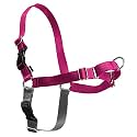 PetSafe Easy Walk No-Pull Dog Harness - Ultimate Harness to Help Stop Pulling - Pull-Free Walks - Take Control &amp; Teach Better Leash Manners - Patented Martingale Loop Design - Raspberry, X-Large