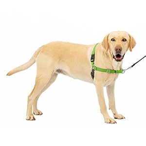 petsafe easy walk harness large apple greengrey for dogs