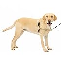 PetSafe Easy Walk Harness, Large, Fawn/Brown for Dogs