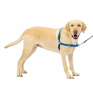 petsafe easy walk harness