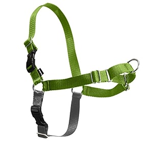 petsafe easy walk harness medium apple greengrey for dogs