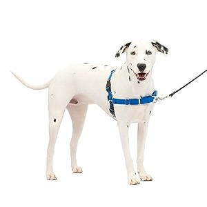 petsafe easy walk harness mediumlarge royal bluenavy blue for dogs