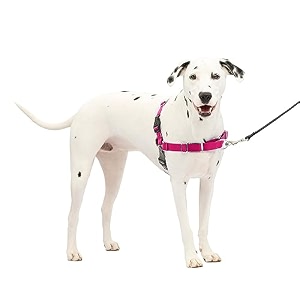 petsafe easy walk harness mediumlarge raspberrygrey for dogs