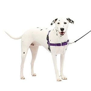 petsafe easy walk harness mediumlarge deep purpleblack for dogs
