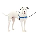 PetSafe Easy Walk Harness, Medium/Large, Royal Blue/Navy Blue for Dogs