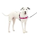PetSafe Easy Walk Harness, Medium/Large, Raspberry/Grey for Dogs