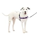 PetSafe Easy Walk Harness, Medium/Large, DEEP Purple/Black for Dogs