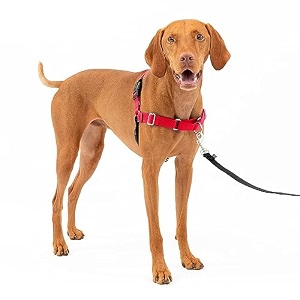 petsafe easy walk harness medium redblack for dogs