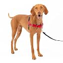 PetSafe Easy Walk Harness, Medium, RED/Black for Dogs