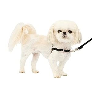 petsafe easy walk harness petite blacksilver for dogs