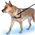 PetSafe Easy Walk Harness, Petite, BLACK/SILVER for Dogs