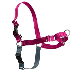 petsafe easy walk harness petitesmall raspberrygrey for dogs