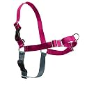 PetSafe Easy Walk Harness, Petite/Small, Raspberry/Grey for Dogs