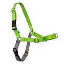 PetSafe Easy Walk Harness, Small, Apple Green/Grey for Dogs