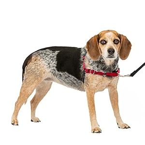 petsafe easy walk harness smallmedium redblack for dogs