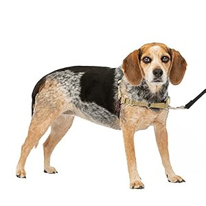 petsafe easy walk harness smallmedium fawnbrown for dogs