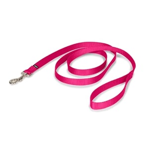 petsafe leash 3434 x 639 medium raspberry pink