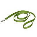 PetSafe Leash, 3/4" x 6', Medium, Apple Green