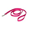 PetSafe Leash, 3/4" x 6', Medium, Raspberry Pink