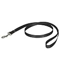 PetSafe Nylon Leash, 3/8" x 6', Black