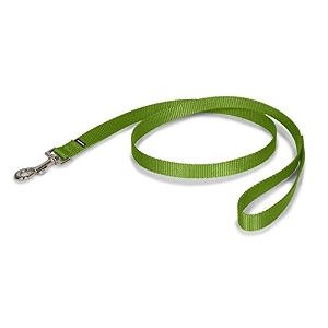 petsafe leash 3834 x 639 small apple green