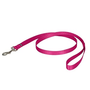 petsafe medium leash 3434 x 439 raspberry pink
