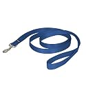 PetSafe Nylon Dog Leash - Strong, Durable, Traditional Style Leash with Easy to Use Bolt Snap - 1 in. x 6 ft., Royal Blue