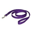 PetSafe Nylon Dog Leash - Strong, Durable, Traditional Style Leash with Easy to Use Bolt Snap - 1 in. x 6 ft., Deep Purple