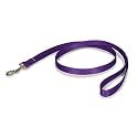 PetSafe Nylon Dog Leash Strong, Durable, Traditional Style Lead with Easy to Use Bolt Snap for Small, Medium and Large Dogs 1" x 4', Deep Purple