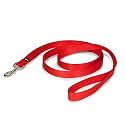 PetSafe Nylon Dog Leash Â– Strong, Durable, Traditional Style Leash With Easy To Use Bolt Snap Â– 1" X 6 feet, Red