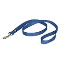 PetSafe Nylon Leash, 1" x 4', Royal Blue