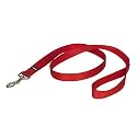 PetSafe Nylon Leash, 1" x 4', Black